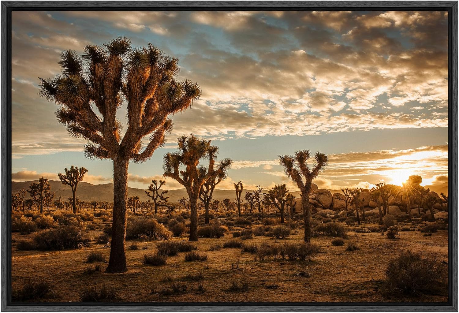 SIGNFORD Framed Canvas Print Wall Art Sunset Over Joshua Trees Photography Realism Decorative Landscape Relax/Calm for Living Room, Bedroom, Office - 24"x36" Black