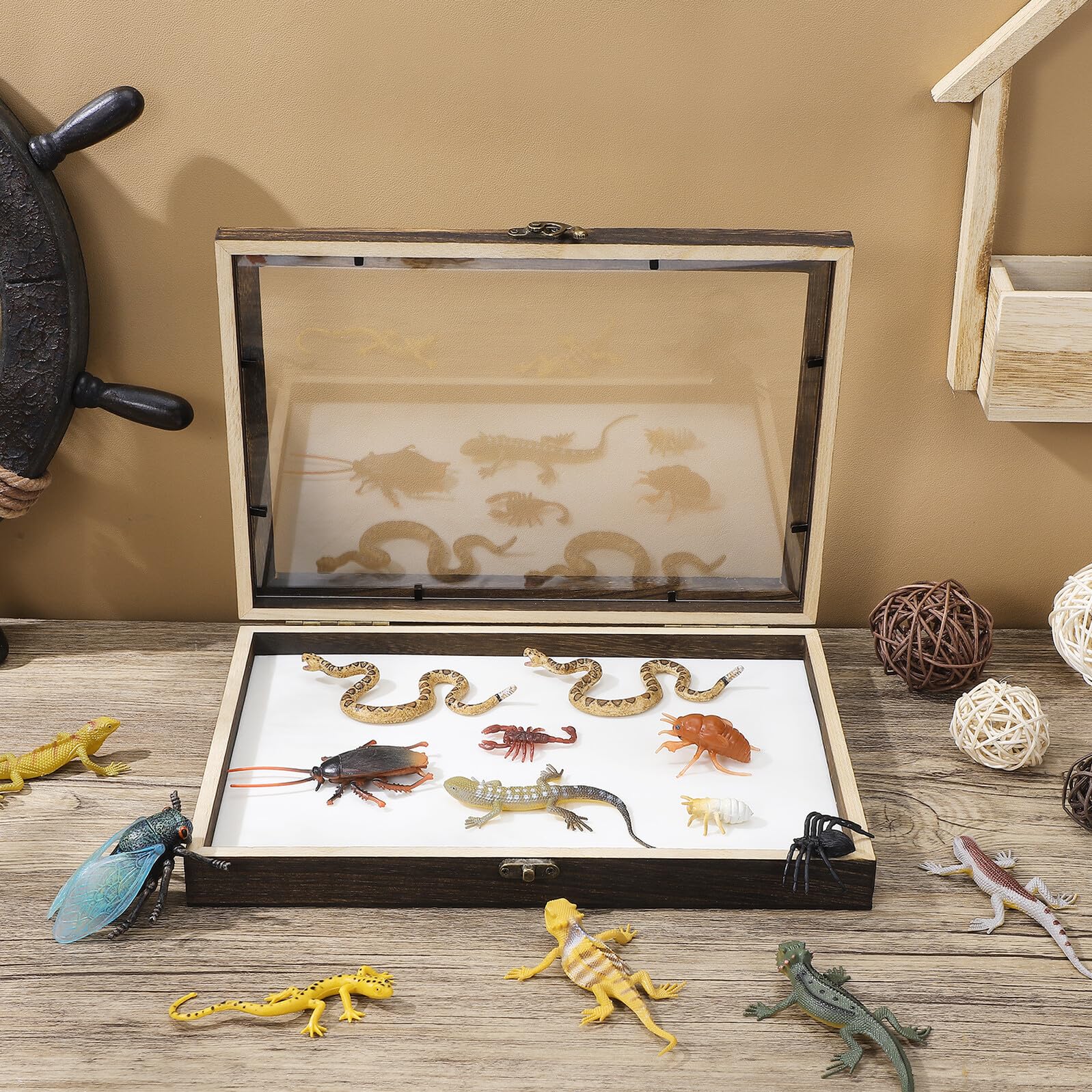 Caja de Muestras de Insectos con Tapa Transparente y Protección contra Polvo, Marco de Madera Acrílica para Exhibición y Colección de Especímenes Pequeños Estilo