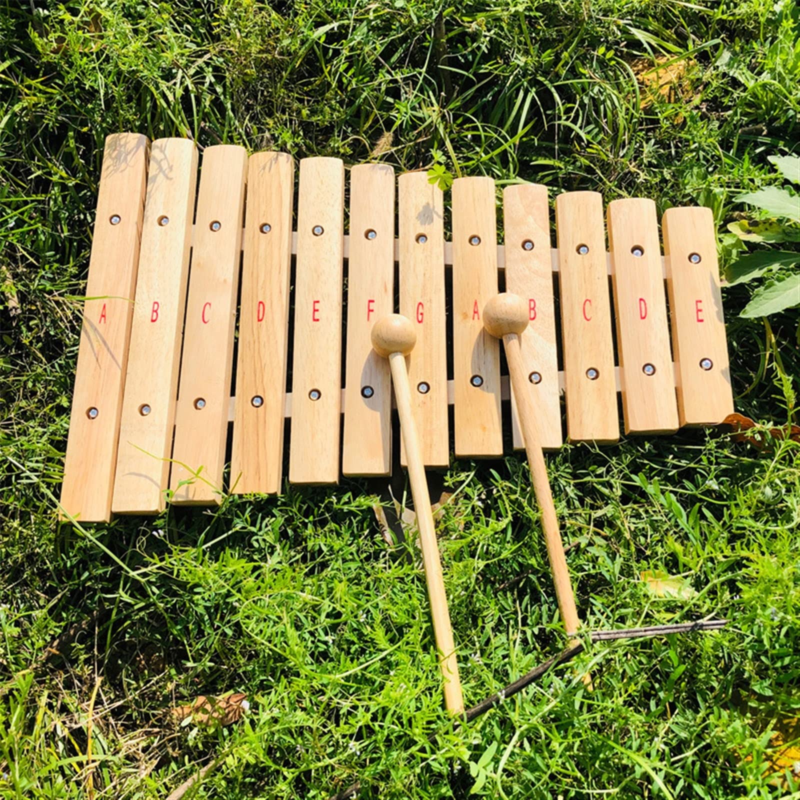 Percussão Musical Percussioni Xilofono In Quercia A Percussione A 12 Toni Per Principianti Musicista A Percussione A Mano Xilofoni