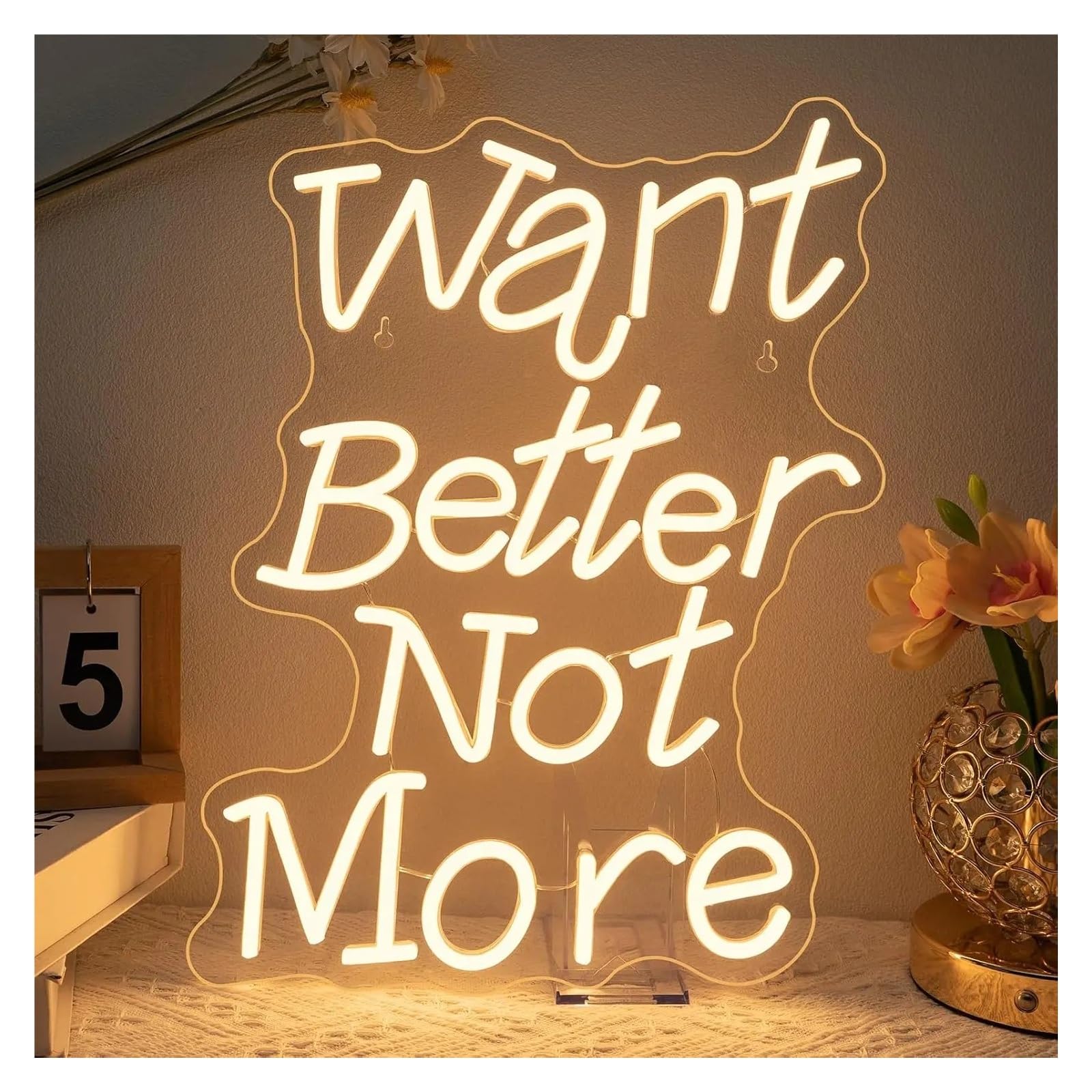 LEMST Signs Lamp Want Better Not More Neon Sign USB Powered LED Light for Fitness Club Bar Party Gym Bedroom Decoration 40X28.6cm/15.75×11.3in