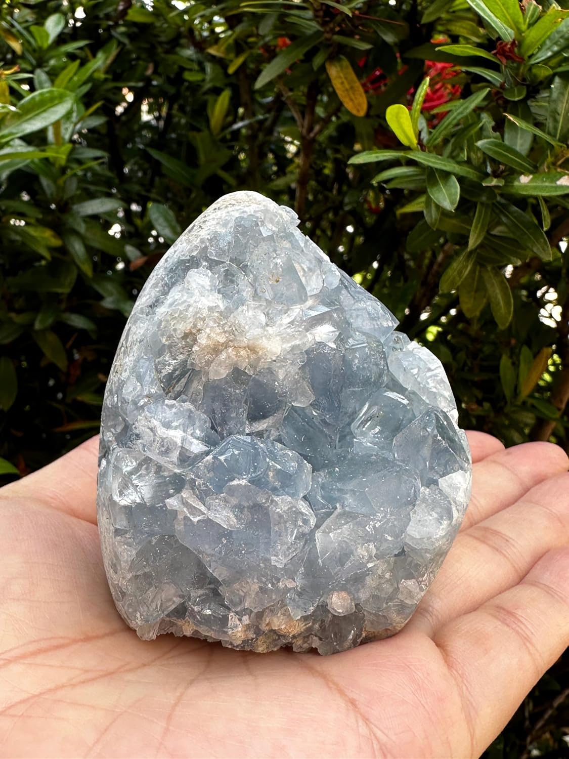 GAF TREASURES Polished Celestite Cluster, Celestite Geode Free Shape w. Druse, Standing Celestite Healing Crystal (1-1.5 lb)