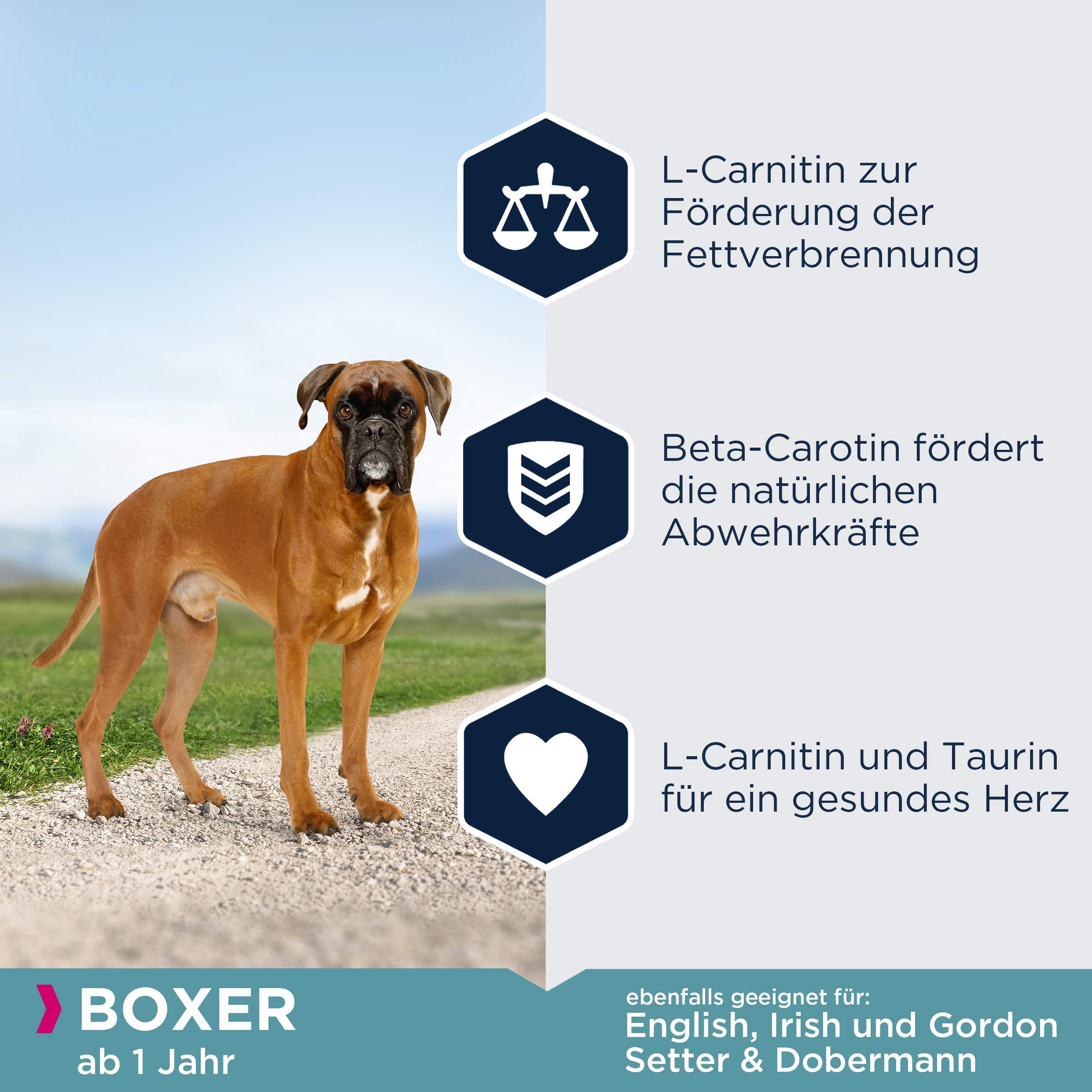 Eukanuba Breed Specific Boxer Trockenfutter, 12 kg