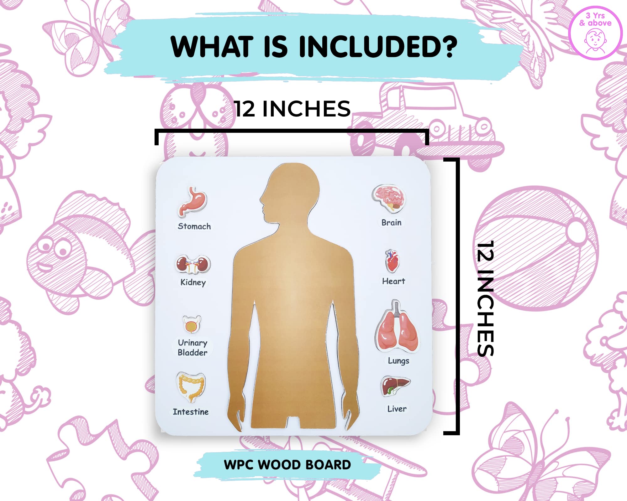 Preschool Game for Learning Human Body Parts Anatomy Skeleton - Educational Wooden Puzzles - Gift Toys for Boy and Girl - Image 5