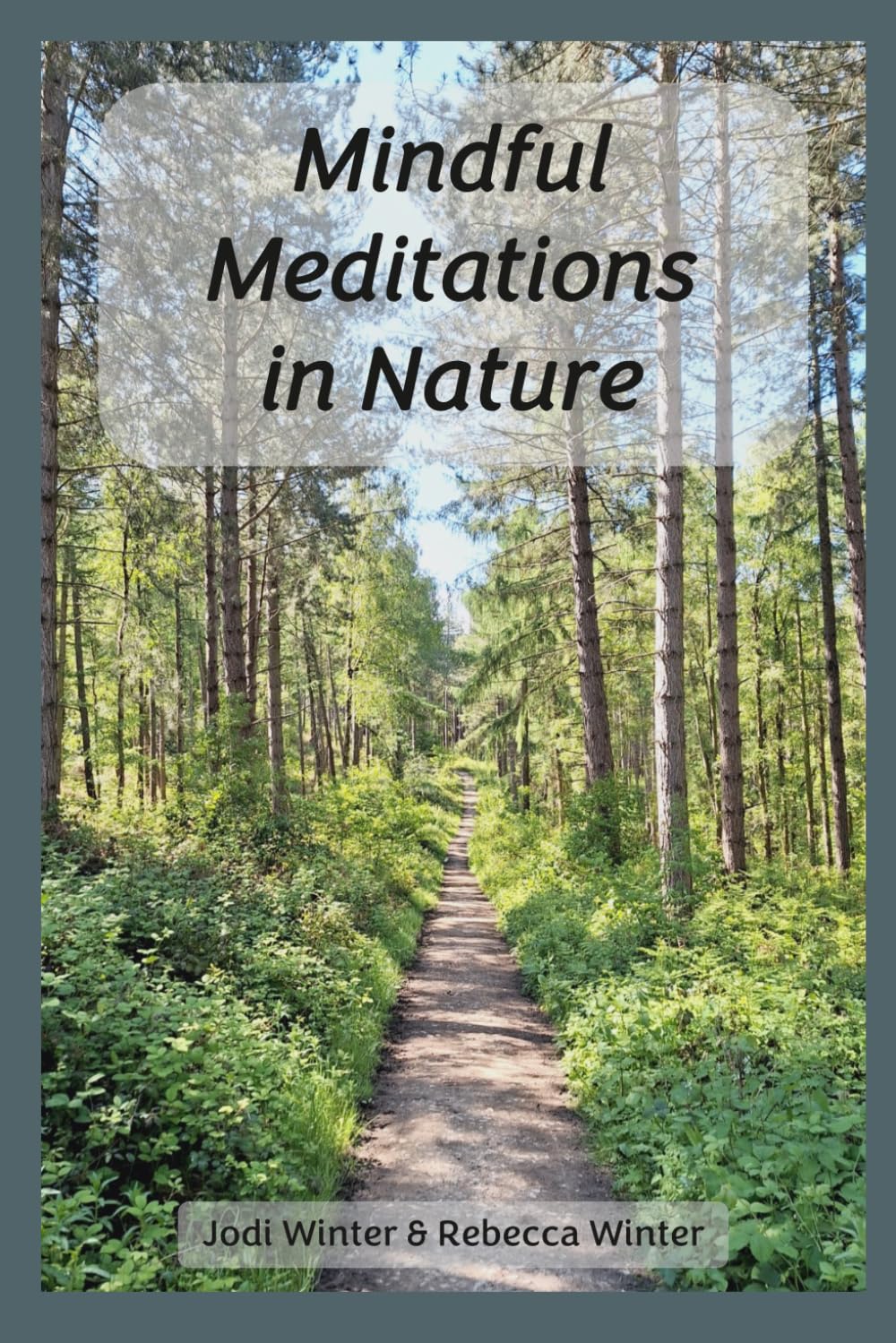 Mindful Meditations in Nature