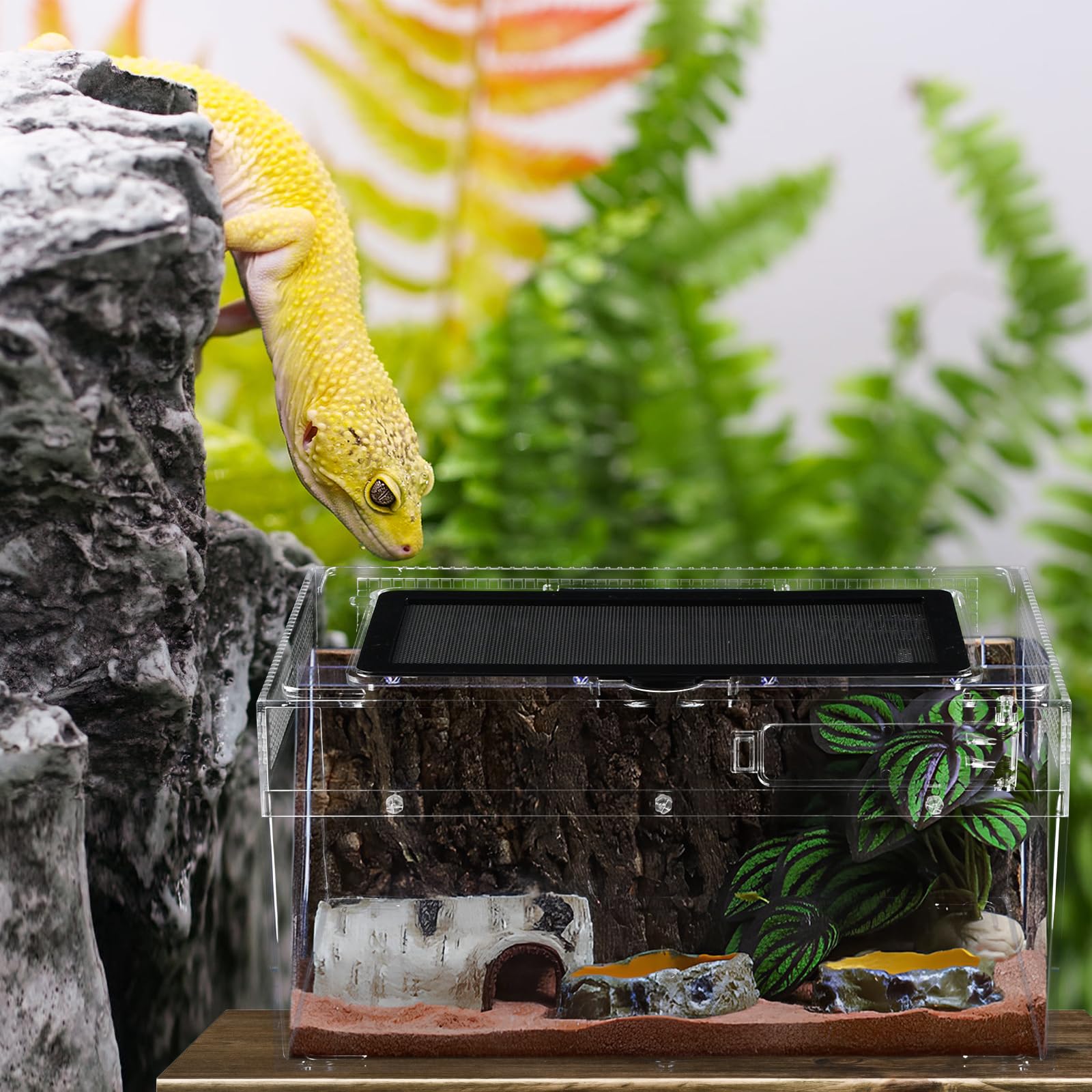 Terrariums pour Reptiles, 30x 18 x 15cm Boîte d'élevage en Acrylique Grande Taille, Habitat Portable pour Reptiles et Amphibiens pour Petits Reptiles Insectes Geckos grillons