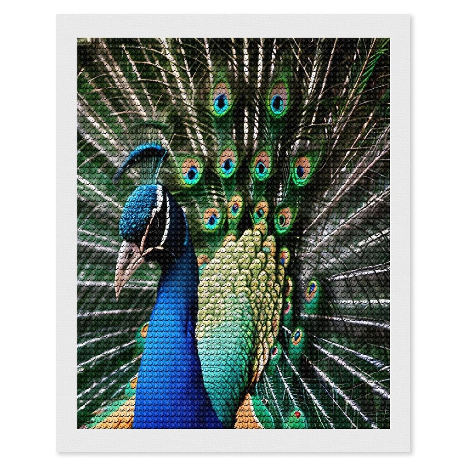 VstaDank Peacock Diamond Painting Kits Exquisite DIY Full Round Drill Diamond Dots Painting for Adults Beginner Diamond Photo Paint with Diamond Picture Art Wall Decor 16"x20"