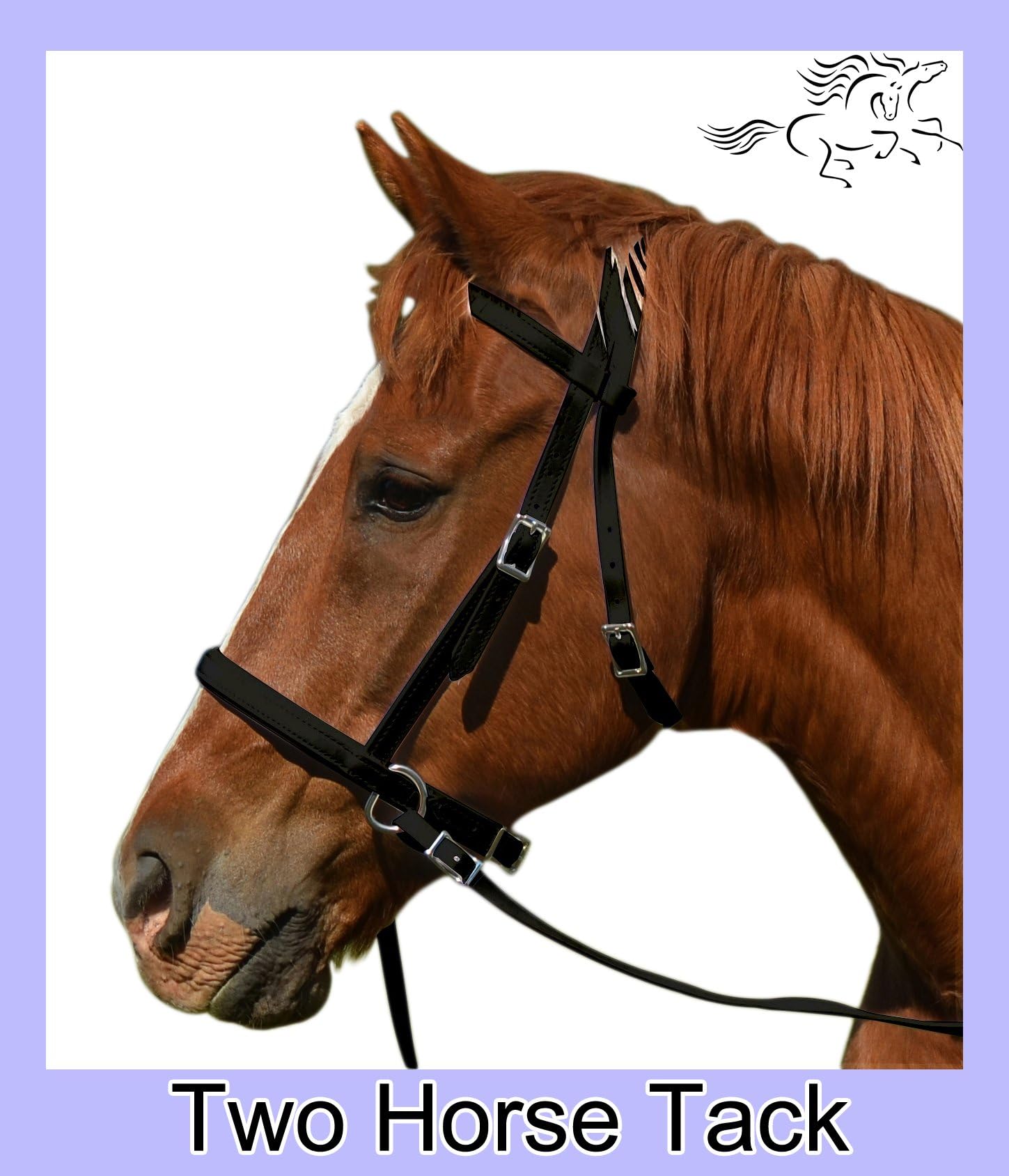 Bitless Bridle & Reins, 2 in 1 Style, Made From Beta Biothane - Draft Horse Size, Black Color
