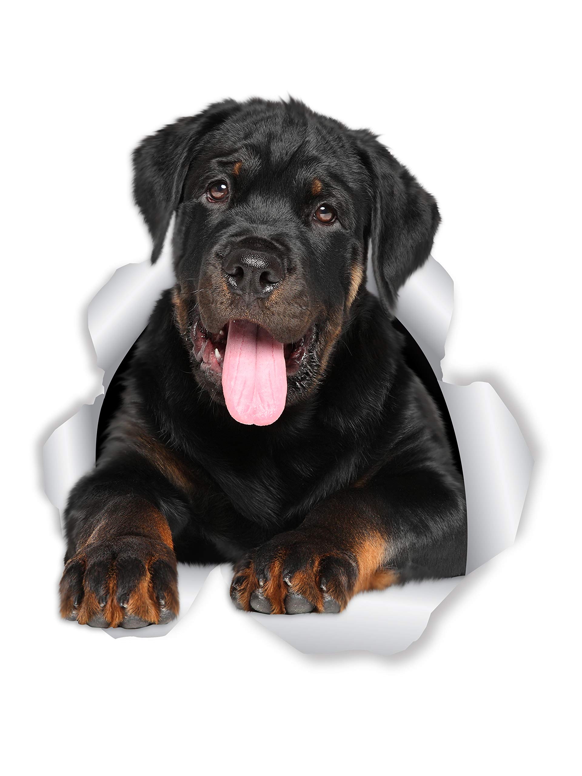 Are Rottweilers Friendly