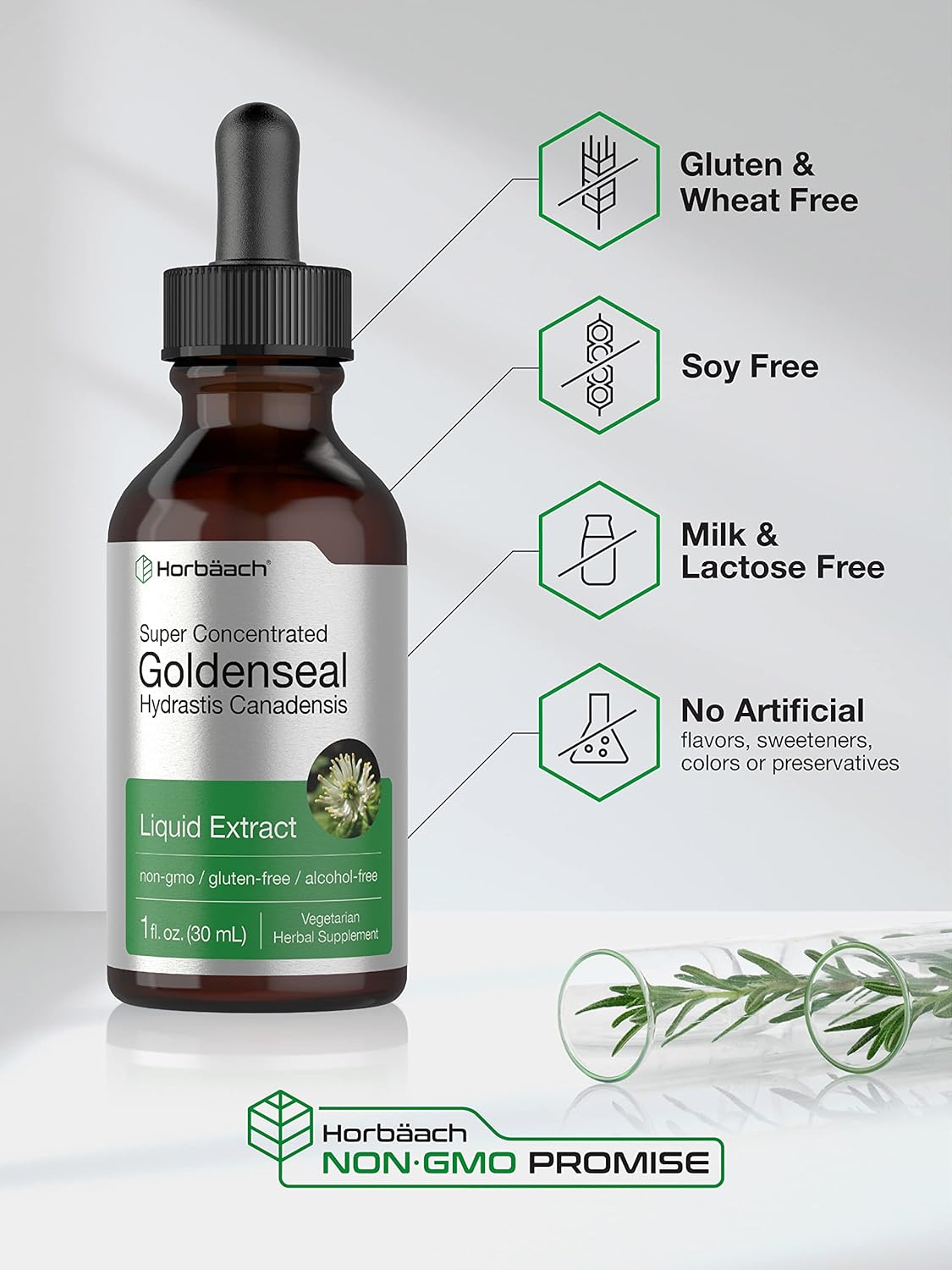 Horbaach Goldenseal Tincture Liquid Extract | 1 fl oz | Hydrastis Canadensis | Alcohol Free | Vegetarian, Non-GMO & Gluten Free - Image 4