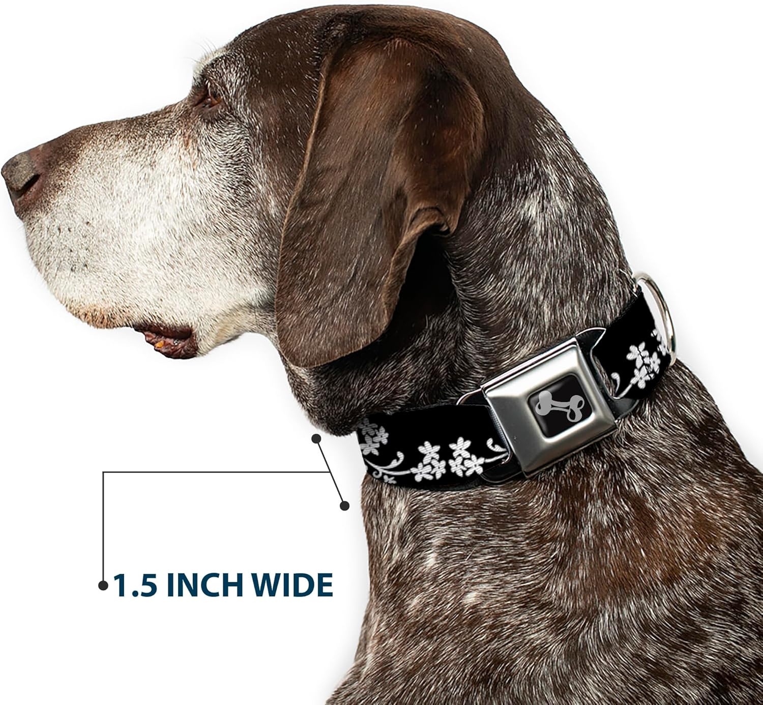 Buckle-Down Seatbelt Buckle Dog Collar - Butterfly Garden2 Black/White - 1" Wide - Fits 15-26" Neck - Large