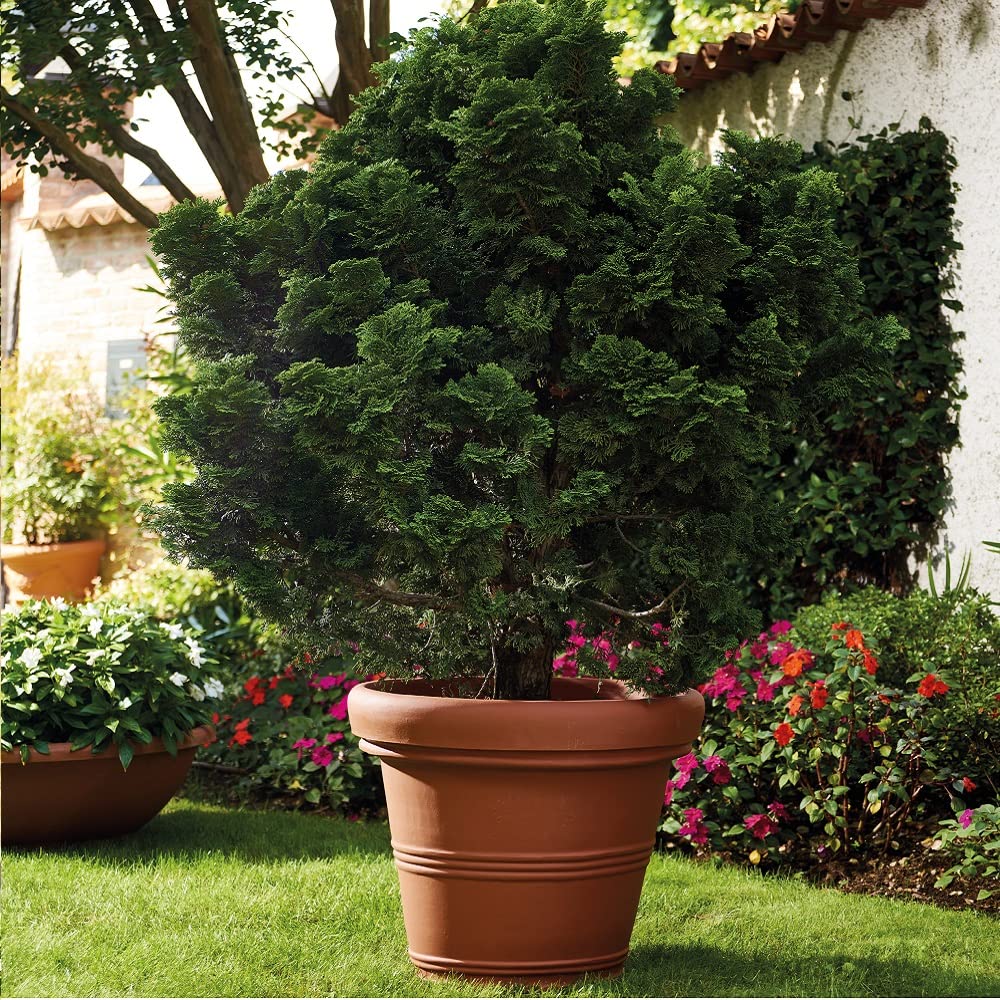 Vaso per Piante Campana Doppio Bordo ICL Dn. 69 cm Alt.56 cm in Resina Colore Terracotta Made in Italy Resistente al Gelo - Antiurto - Leggero