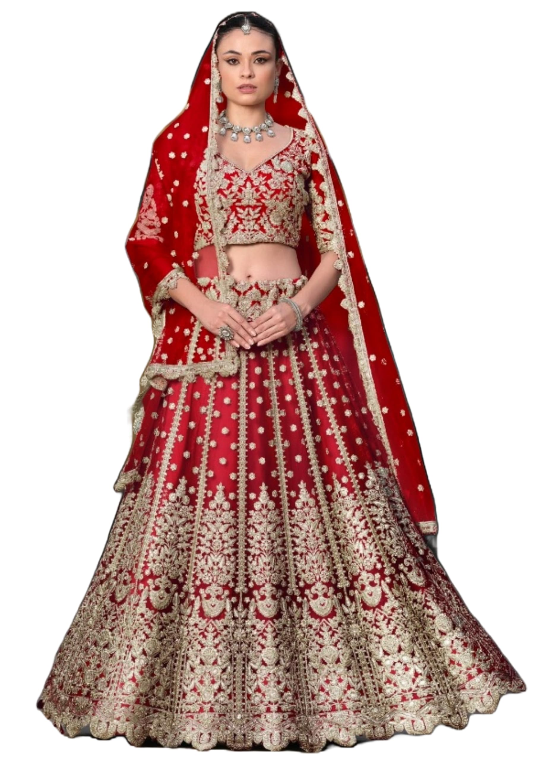 Lehenga 10625 rouge maille papillon la tenue idéale de réception - 6