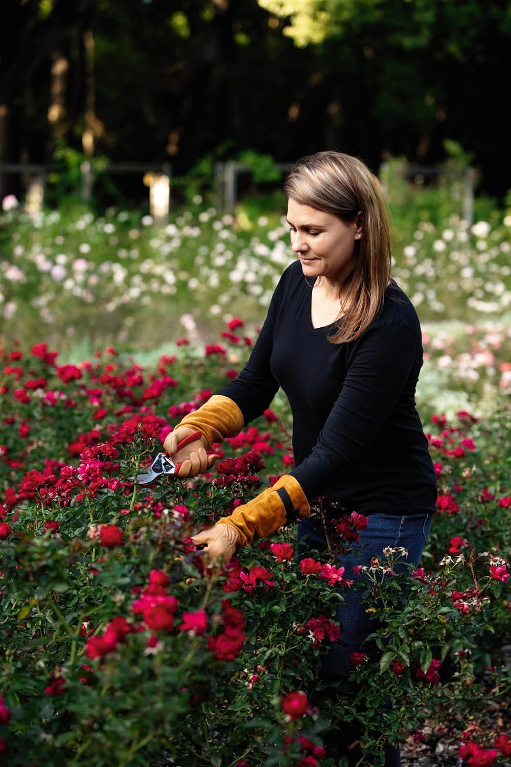 FELCO Model 705 Rose Gloves - Medium Premium Puncture Resistant Leather Gloves Suede Gantlet Cut Rose Pruning Cutting Snipping Horticultists Florists Gardeners Specialist Rose Cultivators