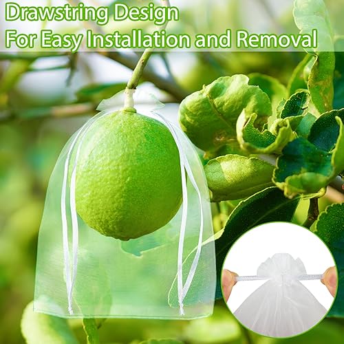 Miniatura 9 de Morcheiong 60 bolsas de protección de 6 x 8 pulgadas, red reutilizable para árboles frutales, malla de jardín con cordón (verde)