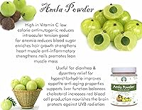 Vista 6 de Amla Fruit Powder (Amalaki) 3.53 oz Cruda y sin OMG Rico en vitamina C antioxidante Vegano 100% crudo de la India Emblica Officinalis