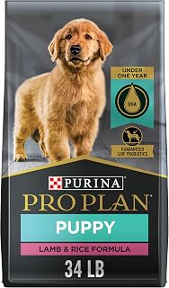Purina Pro Plan Dry Dog Food Focus, Puppy Lamb and Rice Formula, 34-Pound Bag, Pack of 1