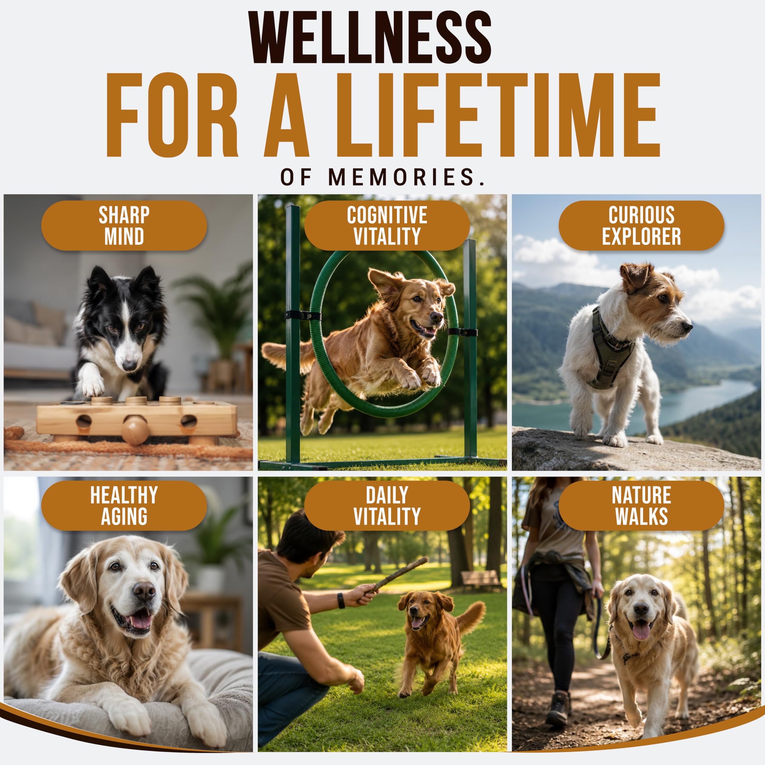 Turkey Tail Mushroom for Dogs - 250 Chews - Dog Lipoma Mushroom Supplement — Amazon image 7