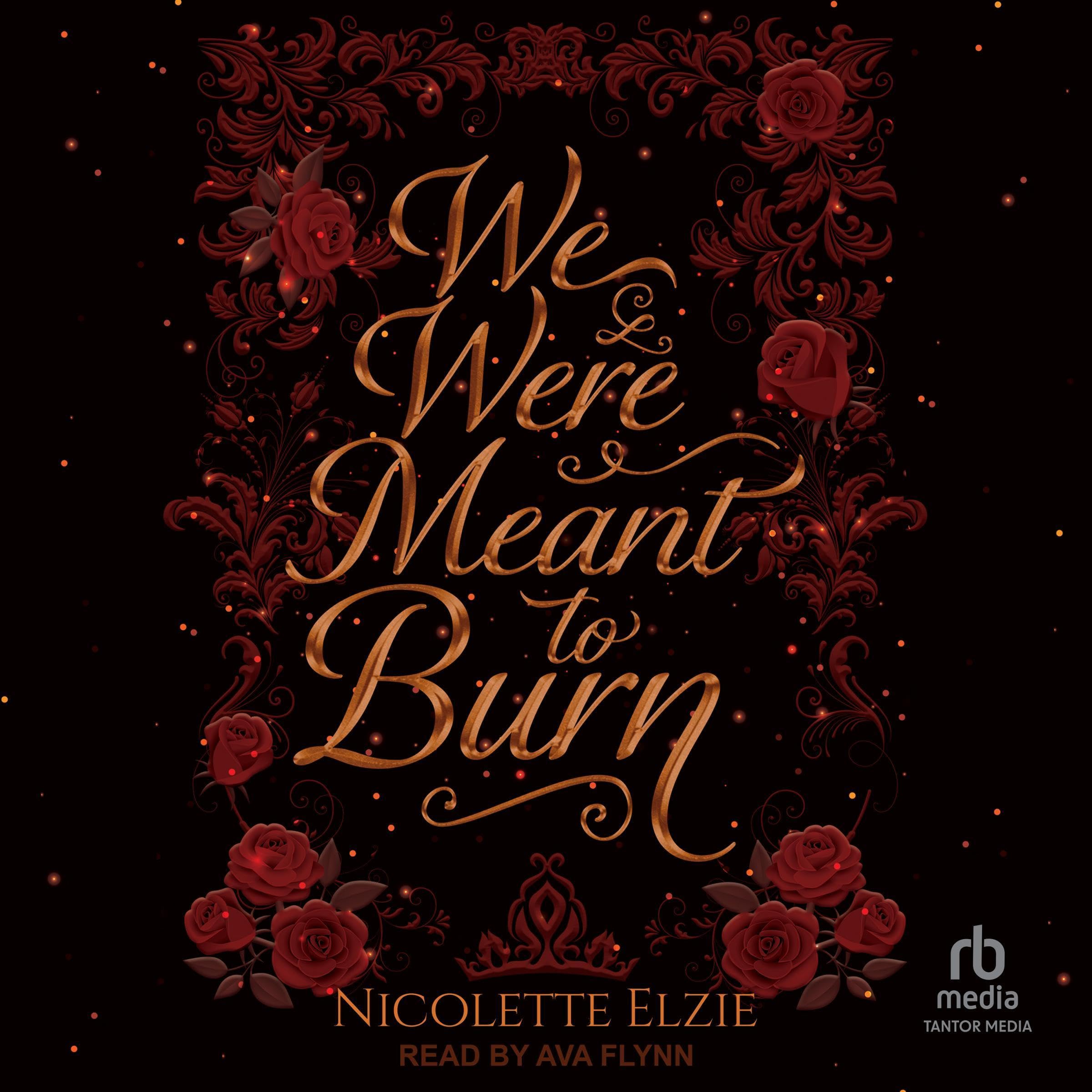 Cover art for We Were Meant to Burn