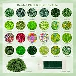 Lyukii Kit de plante perlée en verre vert, DIY Perles de feuille de cristal pour la fabrication de bijoux et l'artisanat botanique, cadeau unique pour les amoureux de plantes (pot non inclus)