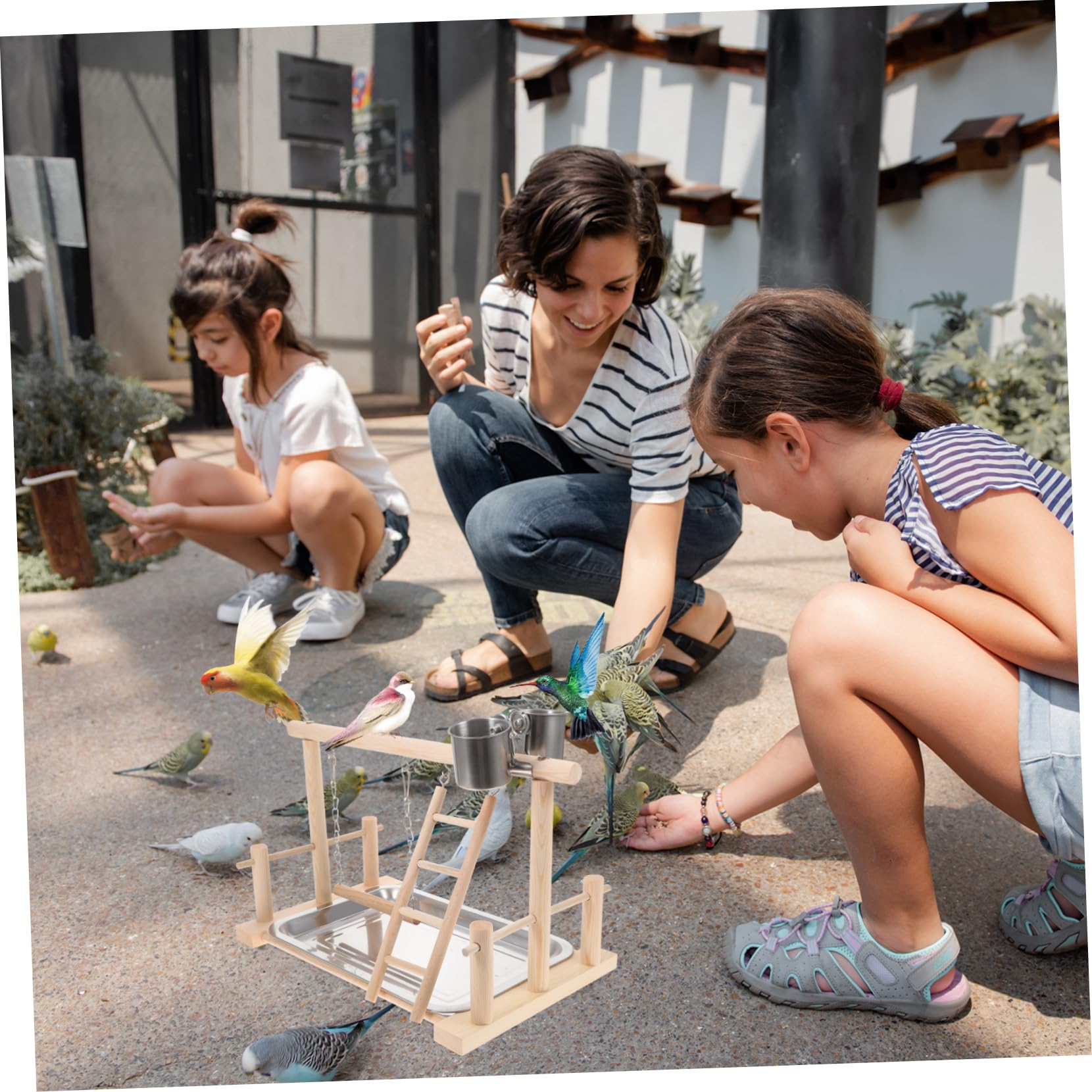 BESPORTBLE Parque para Pájaros De Madera con Percha y Juguetes Gimnasio para Periquitos y Entrenamiento y Ejercicio Casa