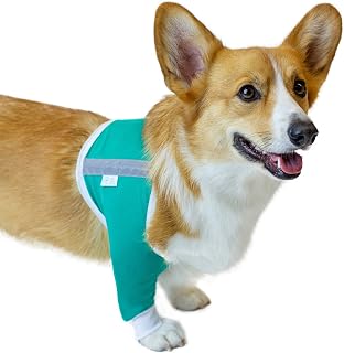Shoulder Protective Sleeve for Dogs - E-Collar Alternative - After Surgery Wear - for Hot Spots, Wounds, Bandages, and Other Skin Conditions (M - Short Sleeve, Teal Green)