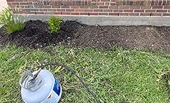 Review Image by Texas Texas