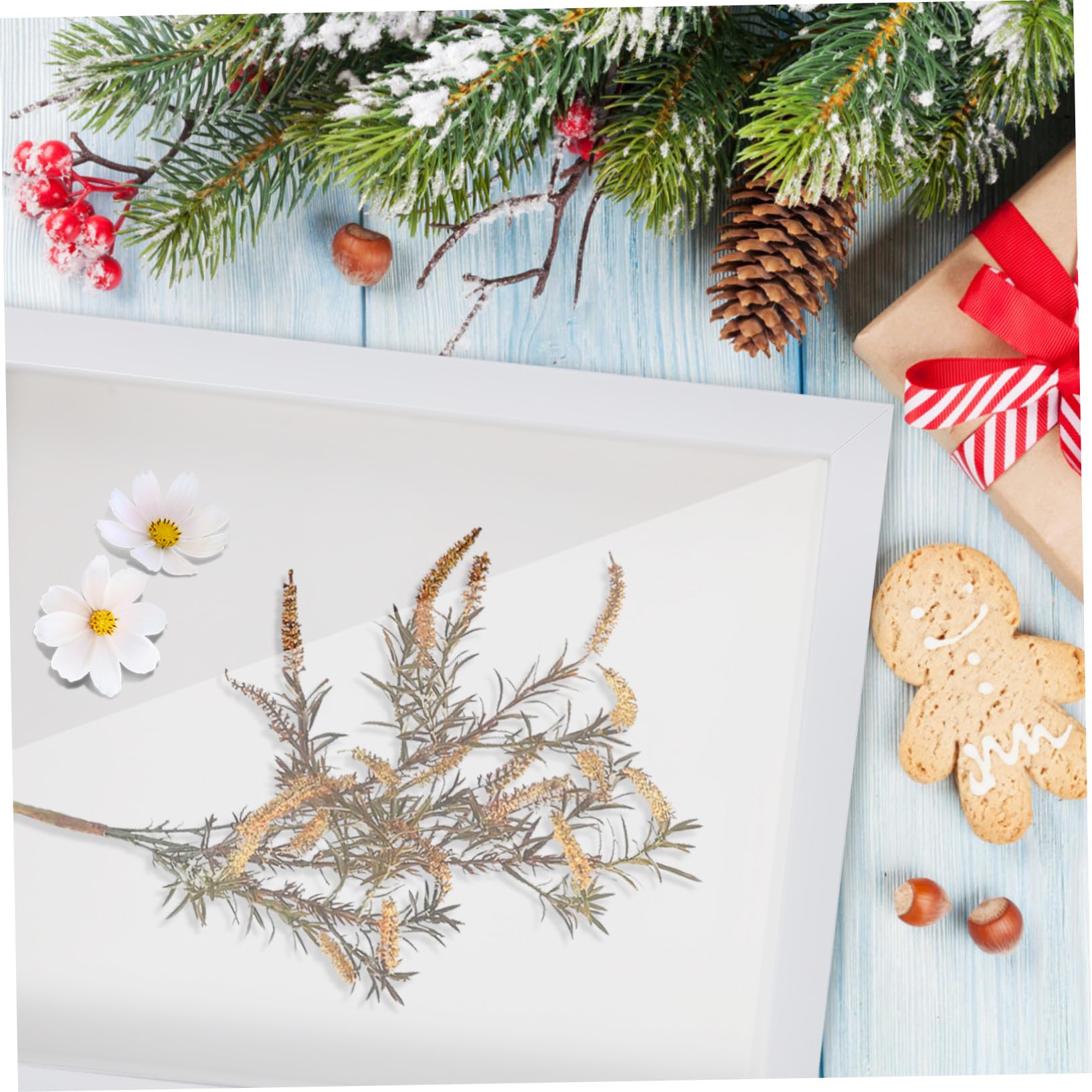 TOYANDONA 2 STK. Holz Rahmen mit Hohlraum für Schmetterlingsfotos und Sammlerstücke Dekorativer Aufbewahrungsrahmen mit Desktop-Ständern für Hochzeits Erinnerungen und Auszeichnungen