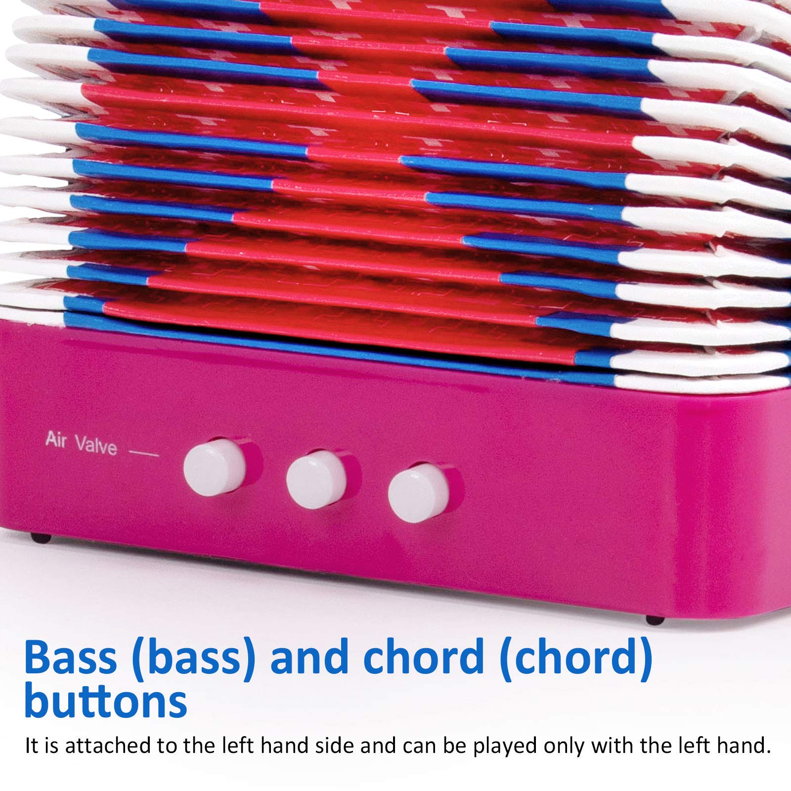 Horse Fisarmonica a Bottoni da 10 tasti Principianti Strumenti Musicali per Bambini Leggeri e Rispettosi Dellambiente(rosa)
