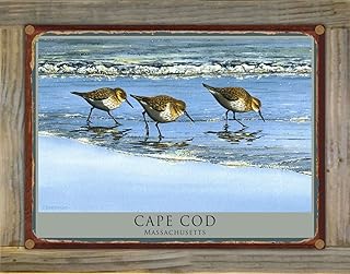 Cape Cod Massachusetts Birds at Beach Rustic Metal Print on Reclaimed Barn Wood from Watercolor by Artist Dave Bartholet 8.5" x 11.5"