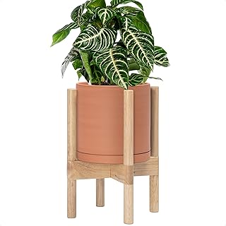 D'vine Dev Terracotta Planter with Natural Stand - 8 Inch Modern Round F...