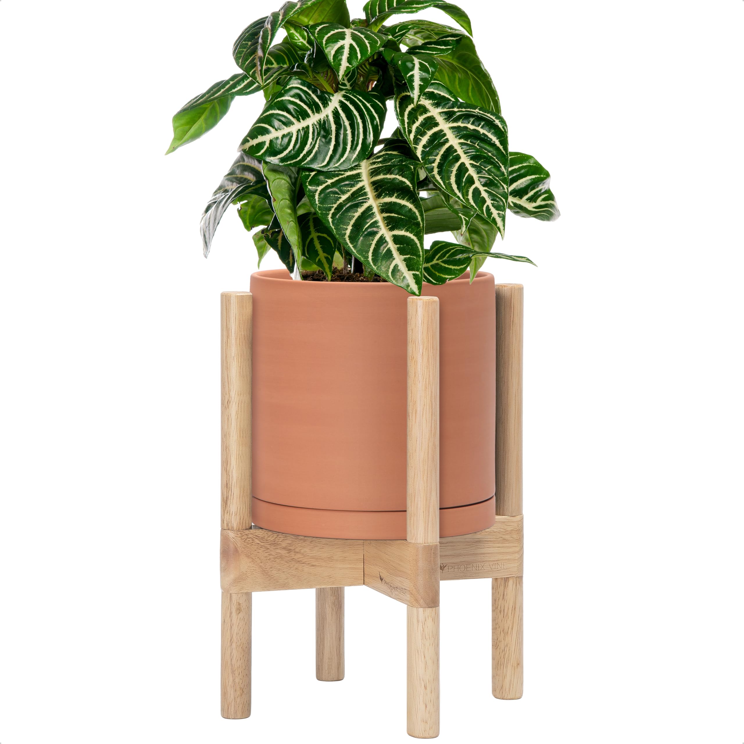 Amazon.com : D'vine Dev Terracotta Pot with Natural Wood Stand, 8
