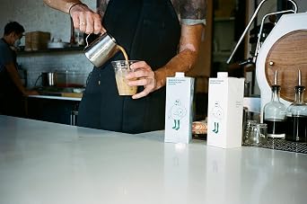 Minor Figures - Oat Milk - Standard - Barista Standard - 32 Oz - 1 Pack - Non Gmo - Plant Based - Vegan - Dairy Free - Shelf Stable - Unsweetened