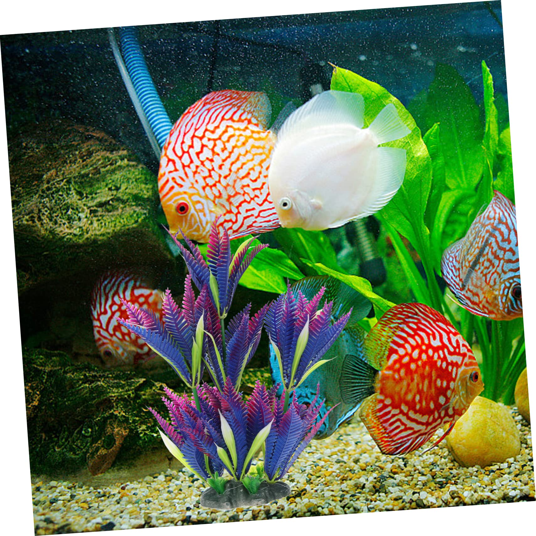 Sosoport Lot De 5 Plantes Aquatiques Pour Aménagement Paysager D'Aquarium Grandes Plantes D'Aquarium Gazon Artificiel Pour Aquarium Faux Poissons Herbe Aquatique Décorative
