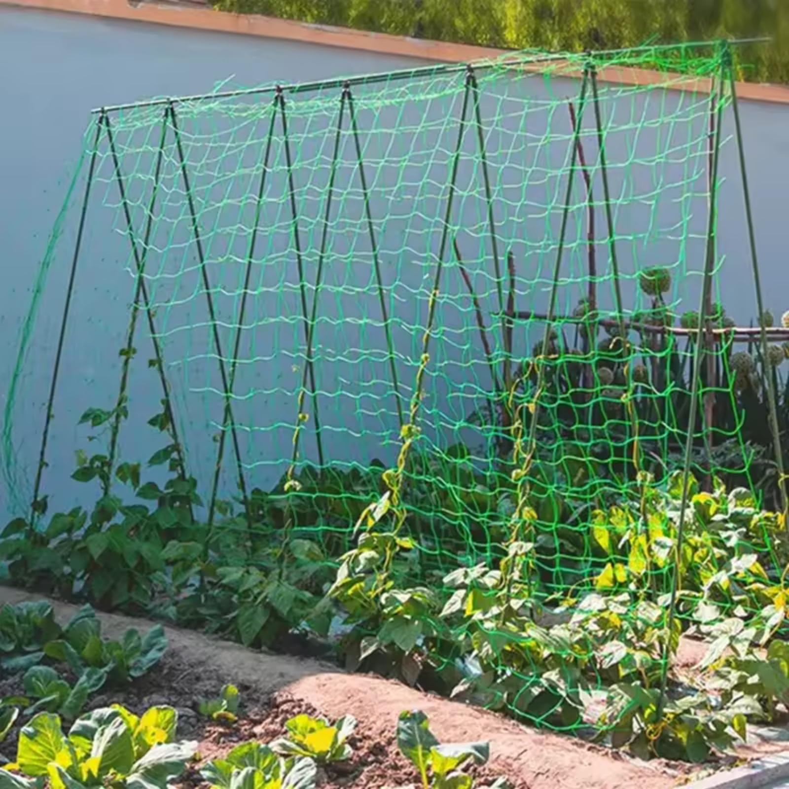 Trellis Netting Heavy Duty Sturdy Garden Support Net for Climbing Plants, Cucumbers, Tomatoes, Beans in Outdoor Greenhouse, Green