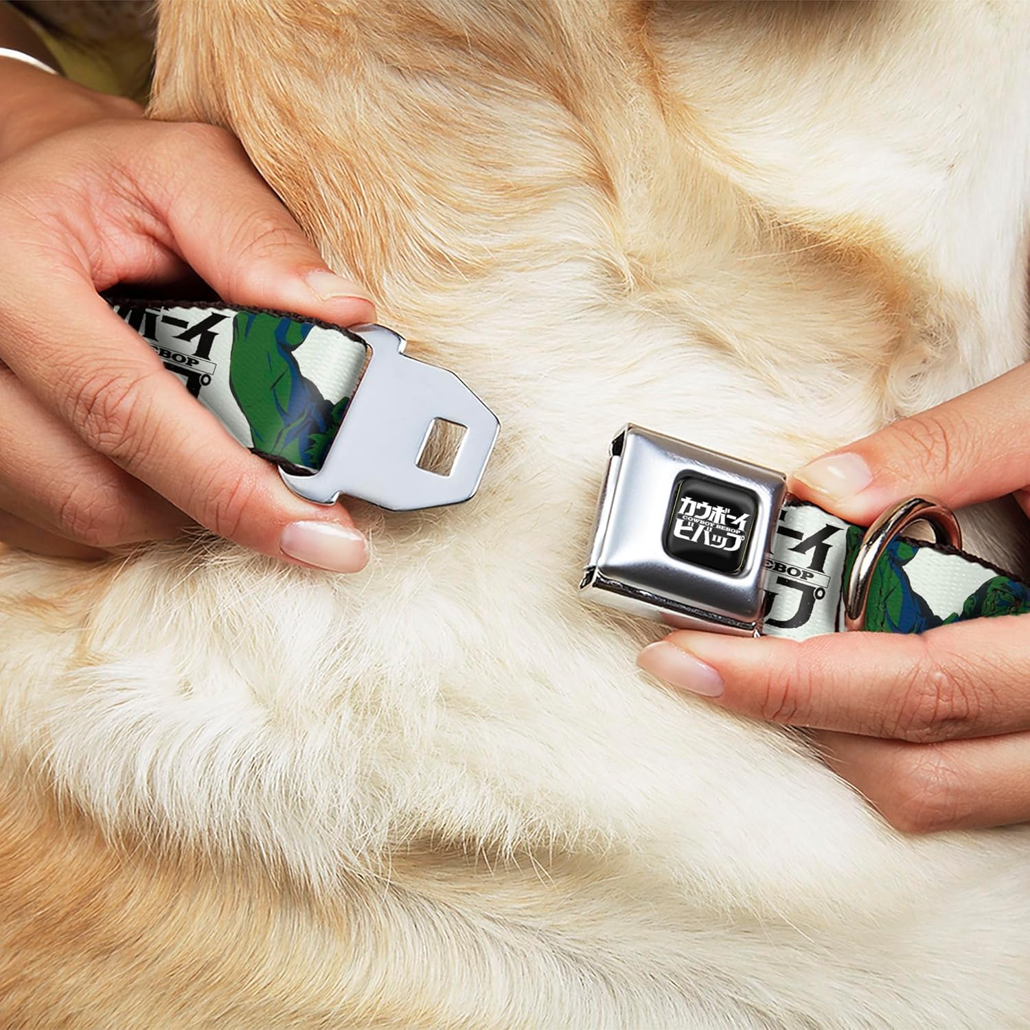 Crunchyroll Pet Collar, Dog Collar Metal Seatbelt Buckle, Cowboy Bebop Crew Group Pose and Logo White Black Greens, 11 to 16.5 Inches 1.0 Inch Wide