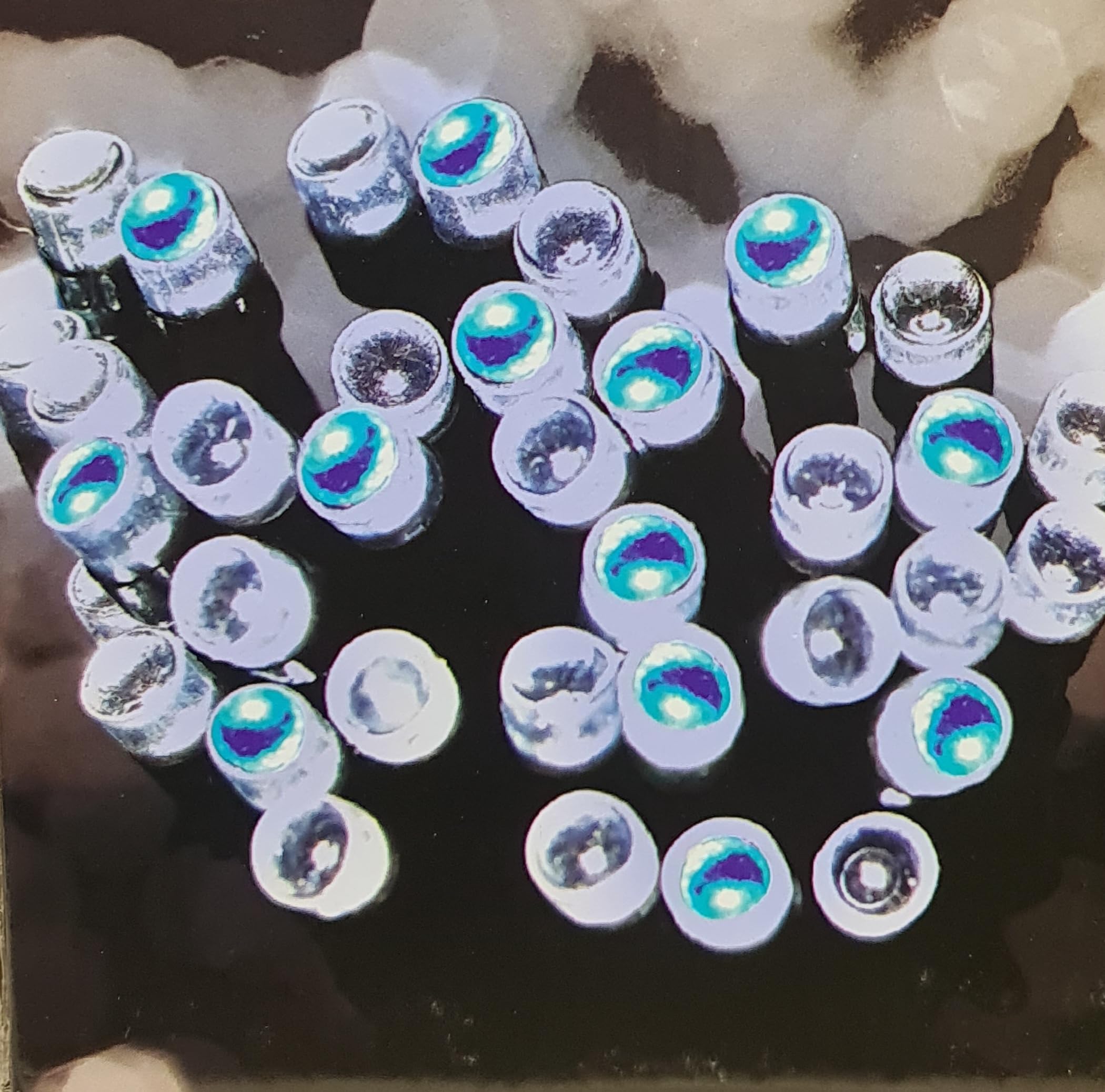 Home Supplies Direct Blue & White (100 Led - 7M) Led String Lights Battery Operated Timer Fairy Outdoor Festive Christmas Xmas Party Display Illumination (Blue & White (100 Led - 7M))