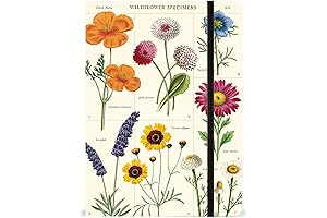 Crafted with Care and Grace: Your Essential Guide to Cavallini Papers & Co. Calendars