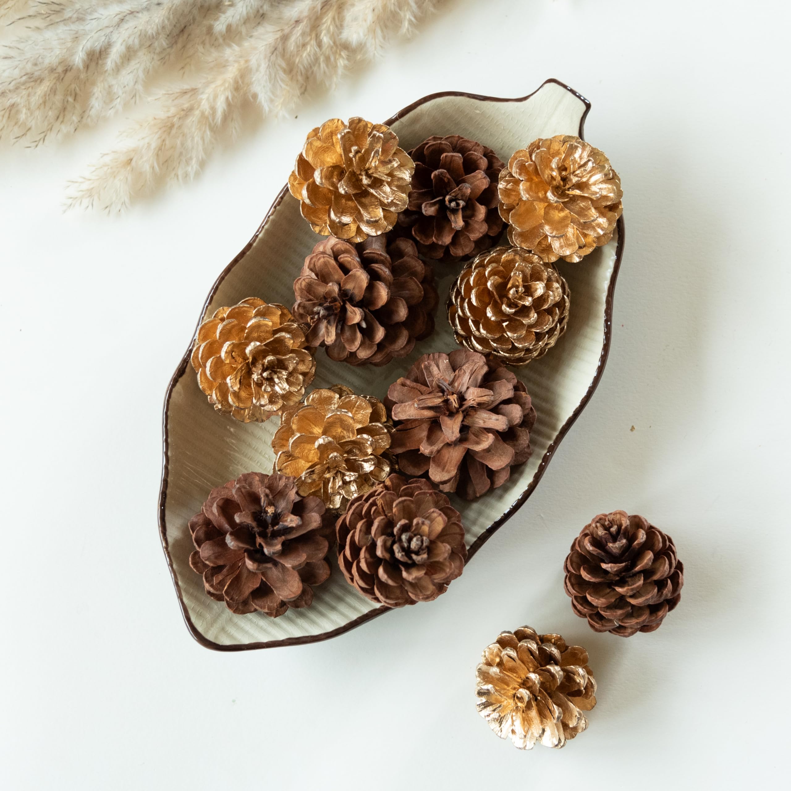 Dazzle Brown and Gold Pine Cones (Set of 10) |Natural Dried Flower | Eco-Friendly Flowers for Home, Office, Bedroom, Table Decoration and Craft Items Corner (Without Vase Pot)-image-36