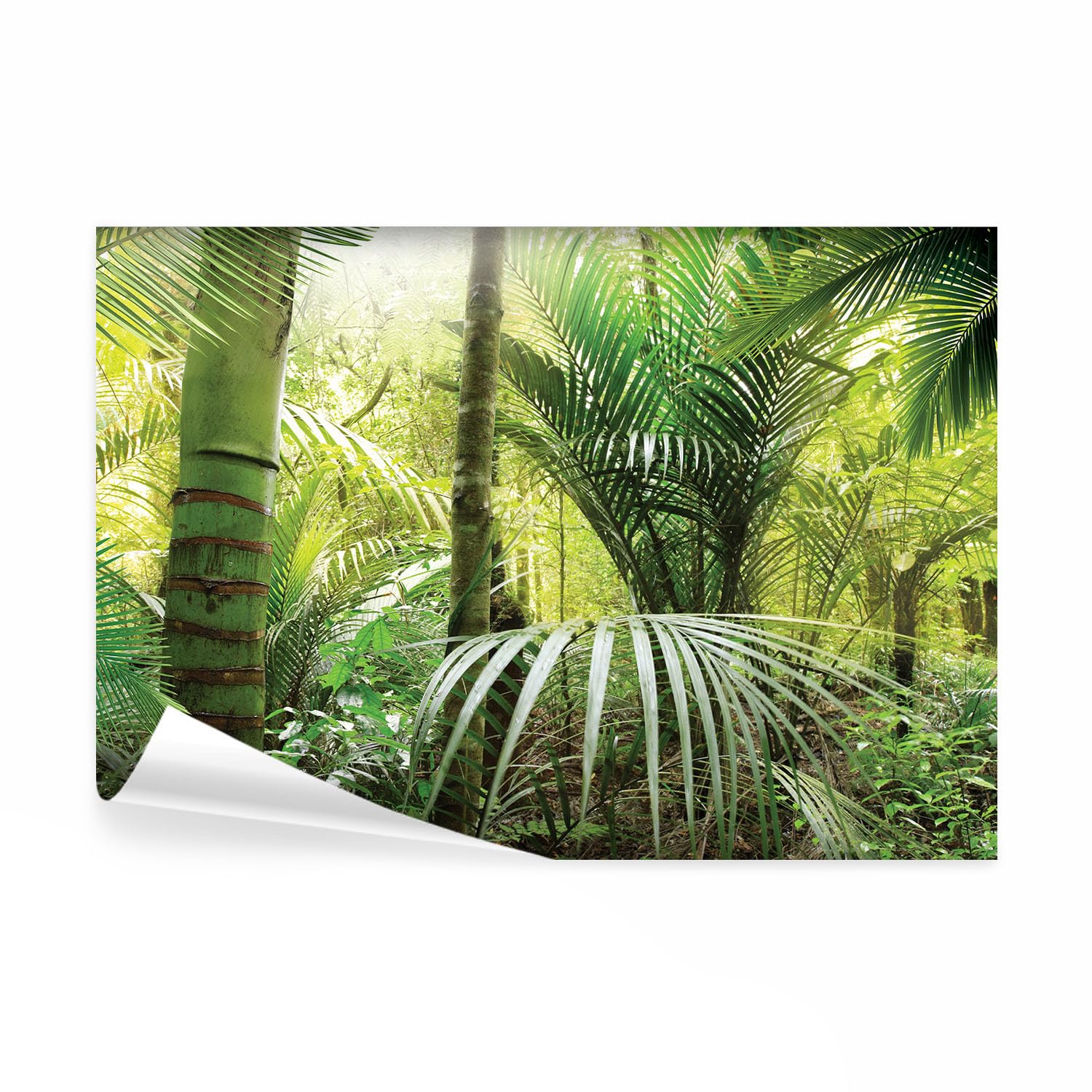 decomonkey Papier Peint Panoramique Adhésif Nature 392x280 cm Vert jaune