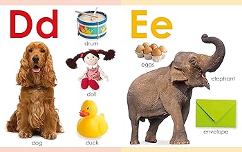 DK my first Collection 7冊セット ボードブック DK my first Collection 7冊セット ボードブック - メルカリ