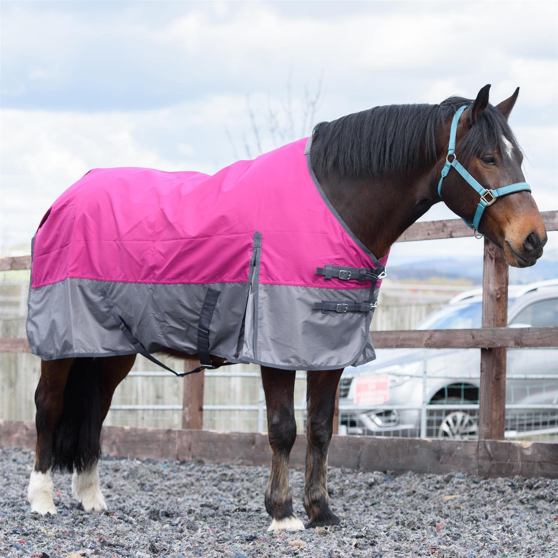 Outdoor Winterdecke Turnout 100% Wasserdicht 600D 100G Fulling - Raspberry/Grau 155cm