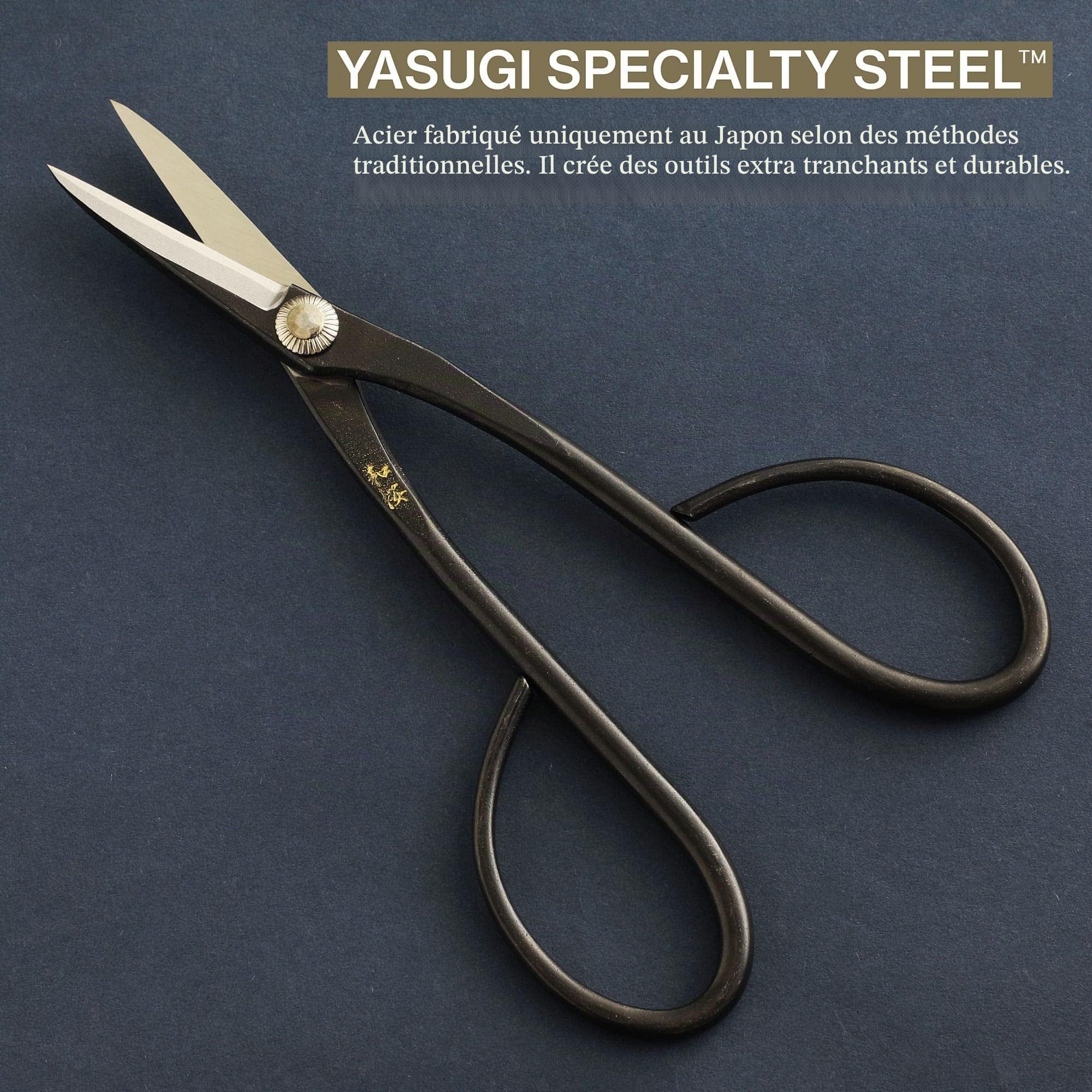 Wazakura Kit Outils Essentiels pour Bonsaï et Jardinage, Fabriqué au Japon en Acier Japonais Yasugi, Ciseaux Satsuki 180 mm, Coupe Branches 200 mm, Pince en Acier Inoxydable, Gomme à Sève