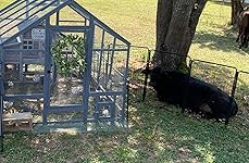 Review Image by Angela Angela