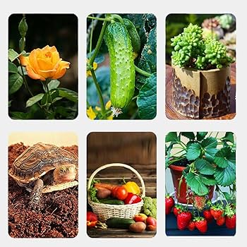 Amazon | 園芸用土 ココヤシファイバー ココナッツピート ココナッツ Amazon | 園芸用土 ココヤシファイバー ココナッツピート ココナッツ