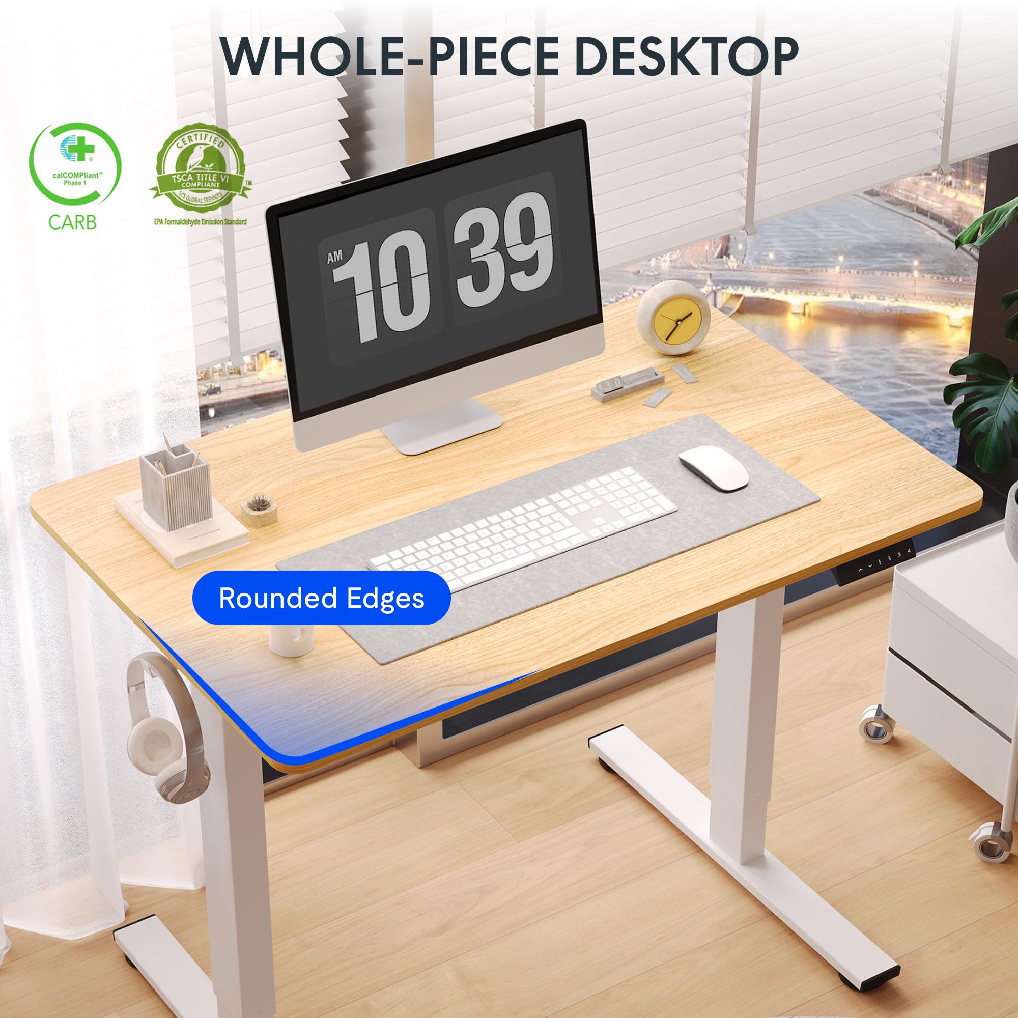 Amazon.com: FLEXISPOT One-Piece Electric Standing Desk, 40 x 24