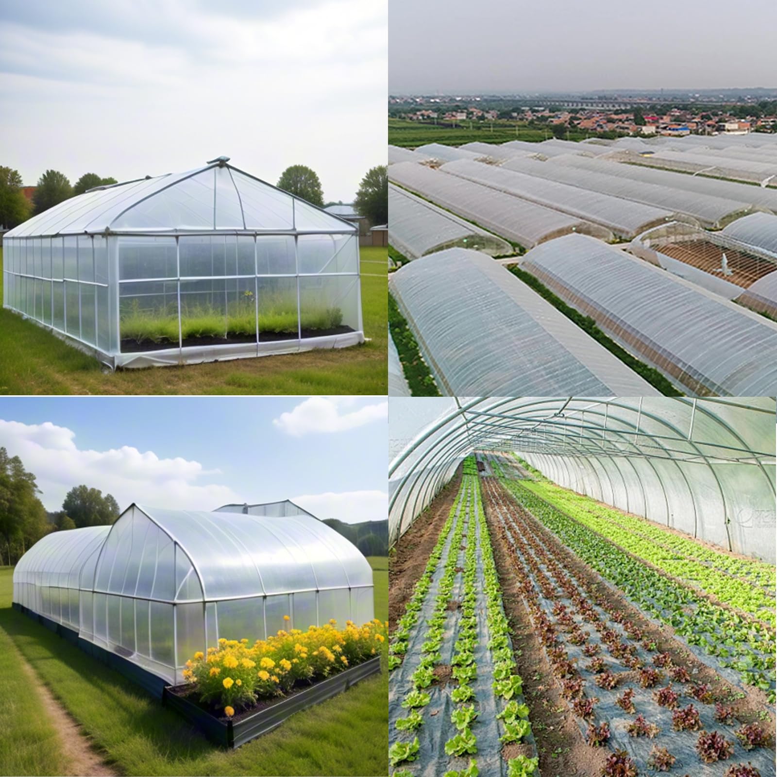 flintronic Folia z tworzywa sztucznego, przezroczysta folia szklarniowa, 2 x 3 m