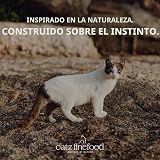 Ver la foto 5