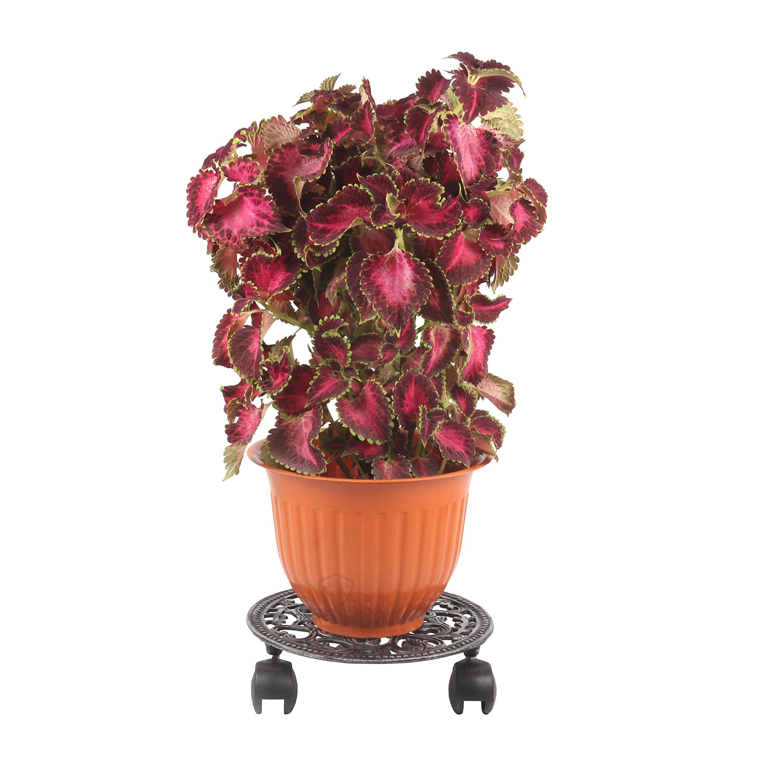 Creation India Craft Metal Plant Caddy Heavy Duty Aluminium Indoor Outdoor Planter Trolley on Round Rack Stand with Rolling Wheels & Lock Garden Plant Stand with Wheels, Set of 1, Silver (B09CKRDQYR) Amazon Price History, Amazon Price Tracker