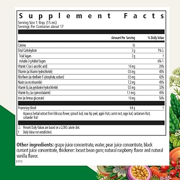Floradix Iron Kids - Liquid Iron & Vitamin Formula - Children's Supplement with C & B Vitamins - Vegan - Raspberry-Vanilla Flavor - 8.5 fl oz