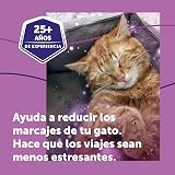 Ver la foto 4